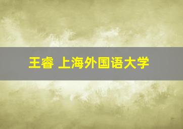 王睿 上海外国语大学